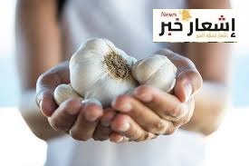 أهميه الثوم اقتصاديا وثقافيا